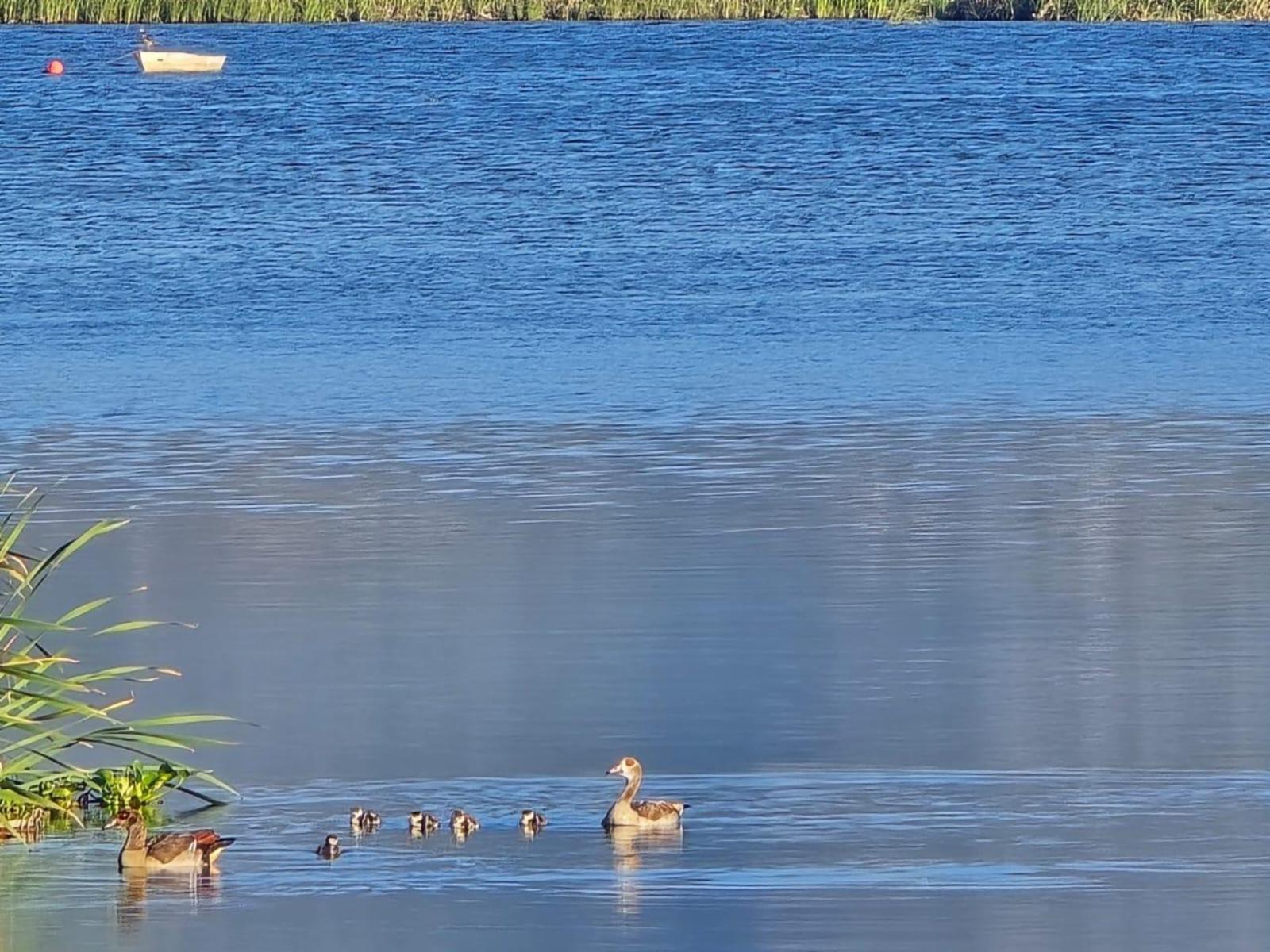 Lake view