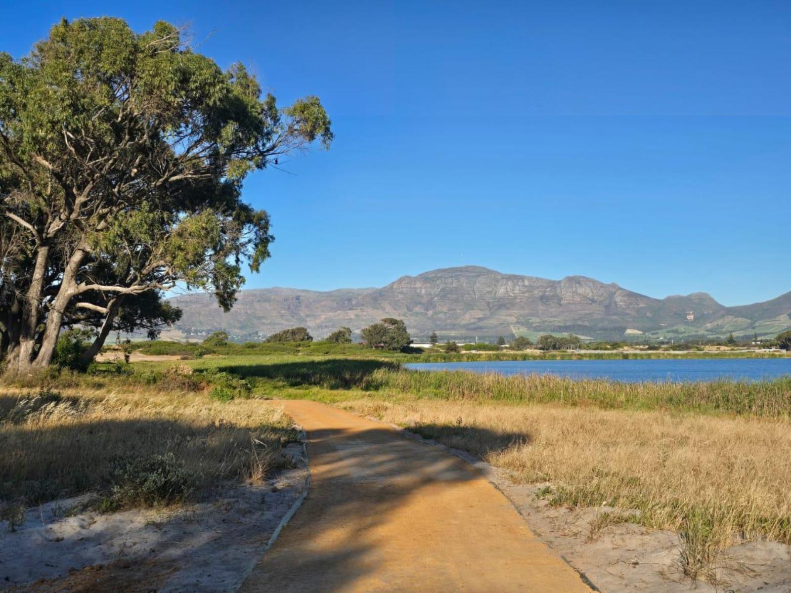 Lake view