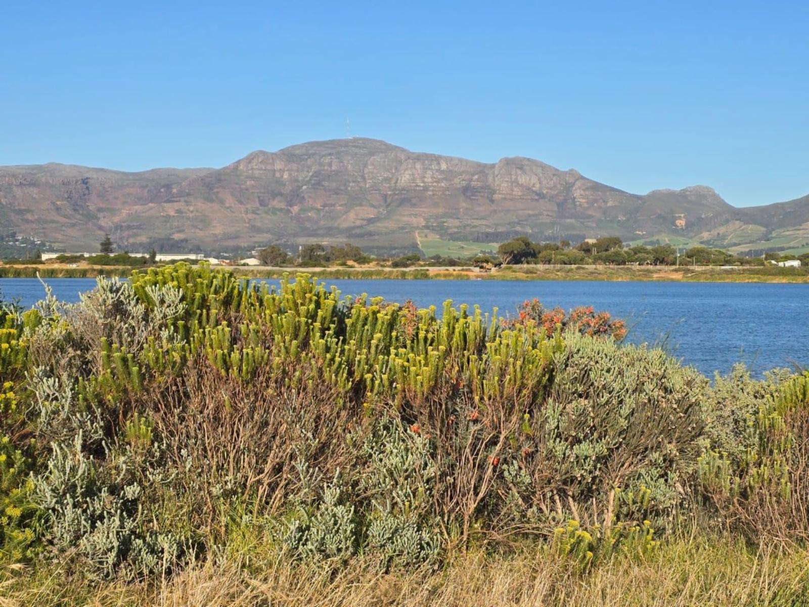 Natural landscape