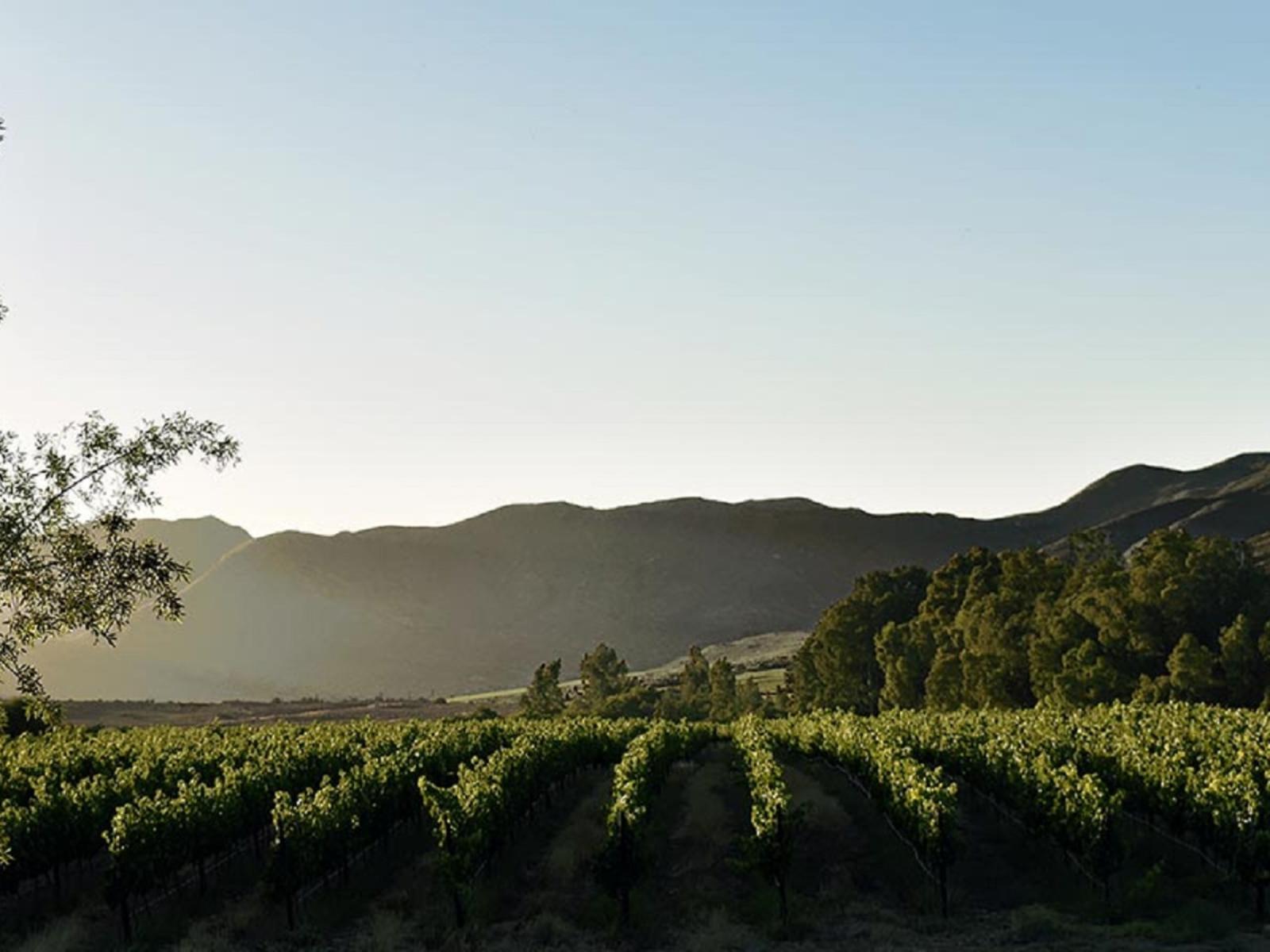 Arendsig Wine Estate and River Eco Cabin
