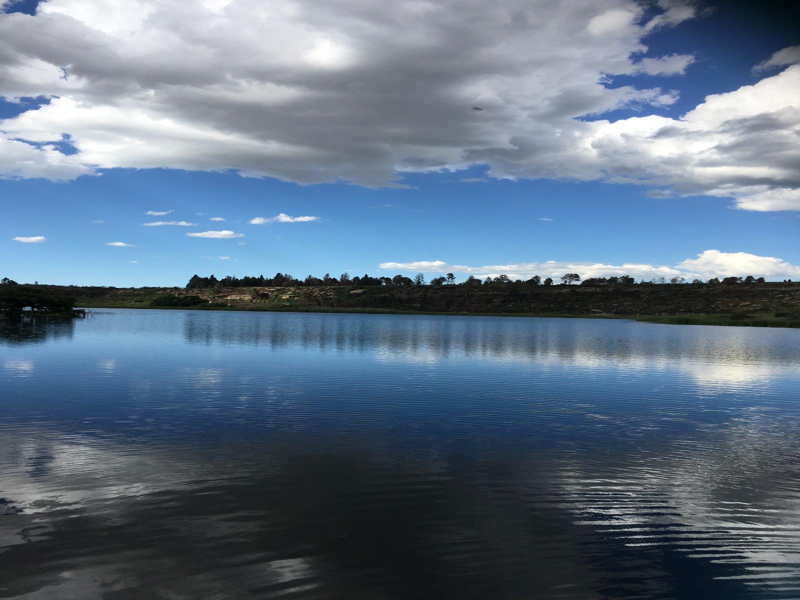 Lake view