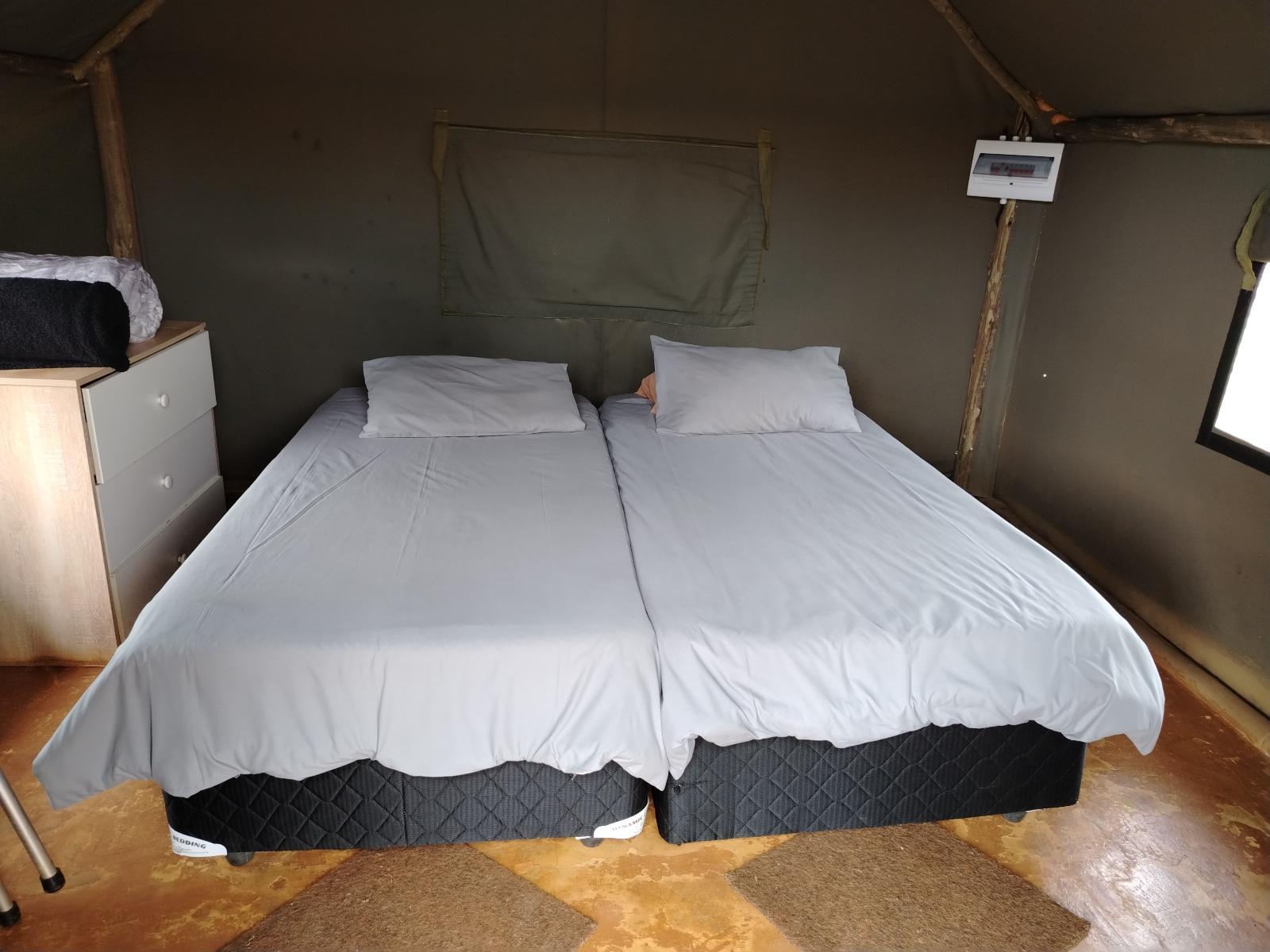 Room 1 — Photo of the whole room