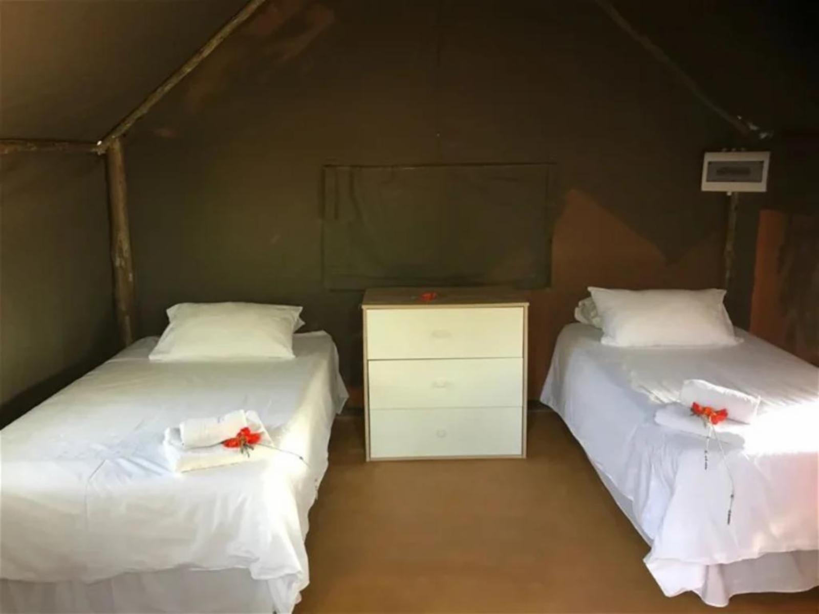 Room 1 — Photo of the whole room