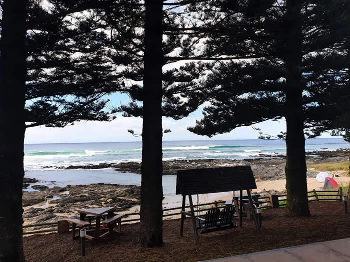 Beach view with picnic tables and swings under tall trees