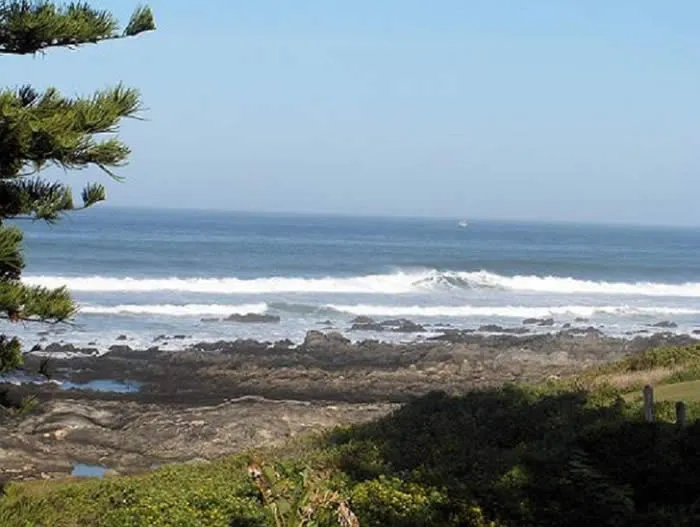 Ocean waves crashing on rocky shore with greenery in foreground