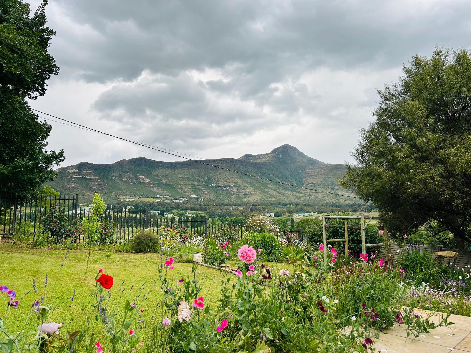 Mountain view