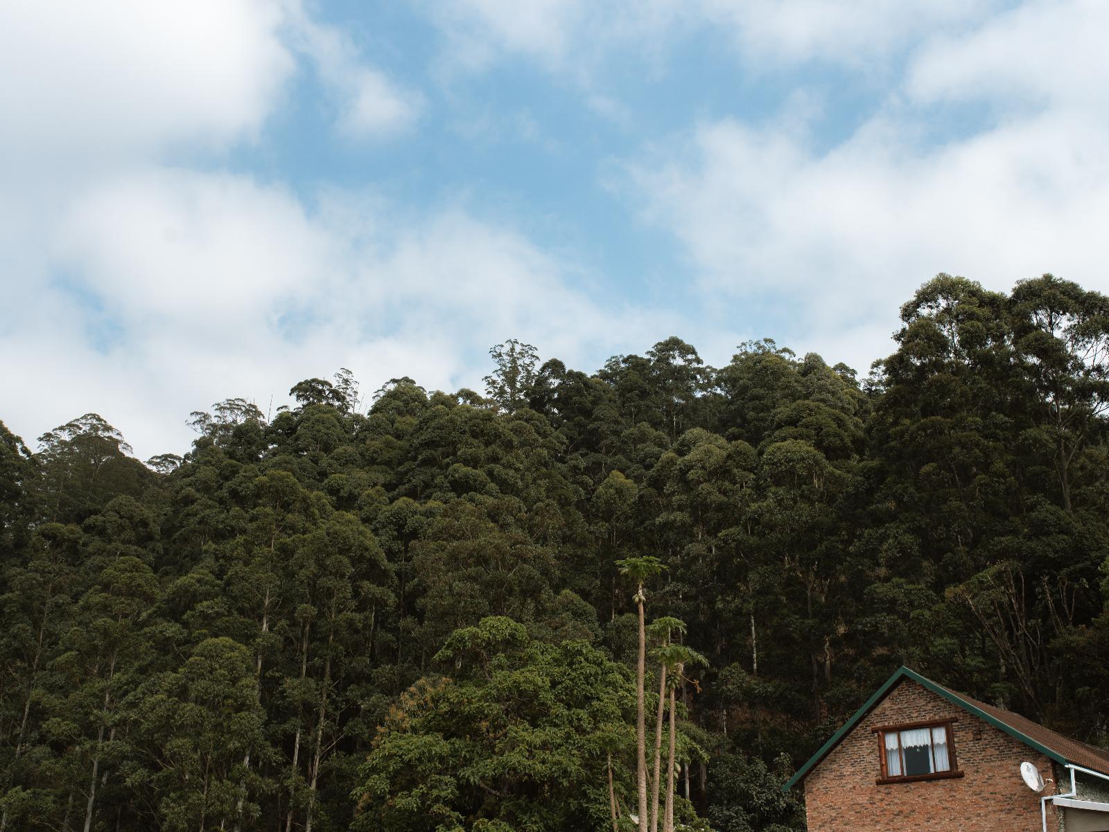 Natural landscape