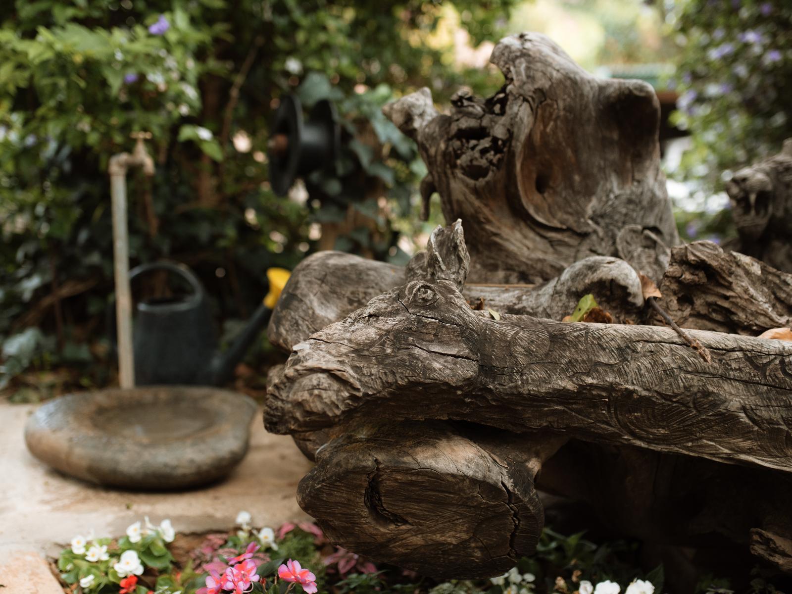 Room 7 — Garden