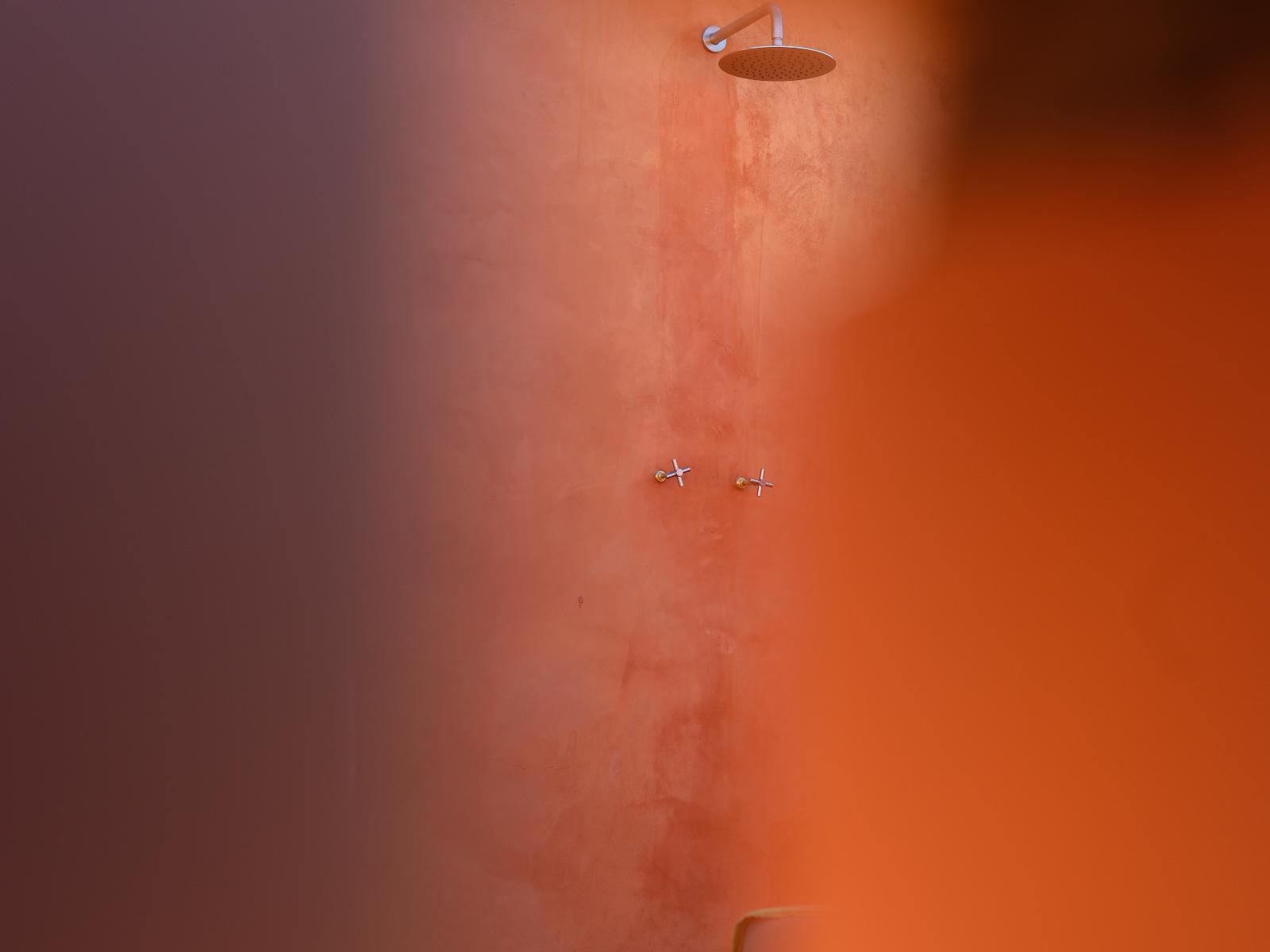 Room 1 — Shower
