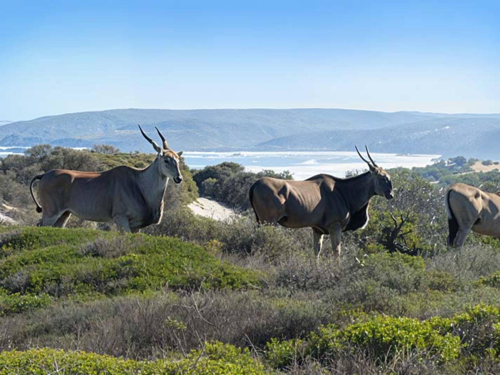 Natural landscape