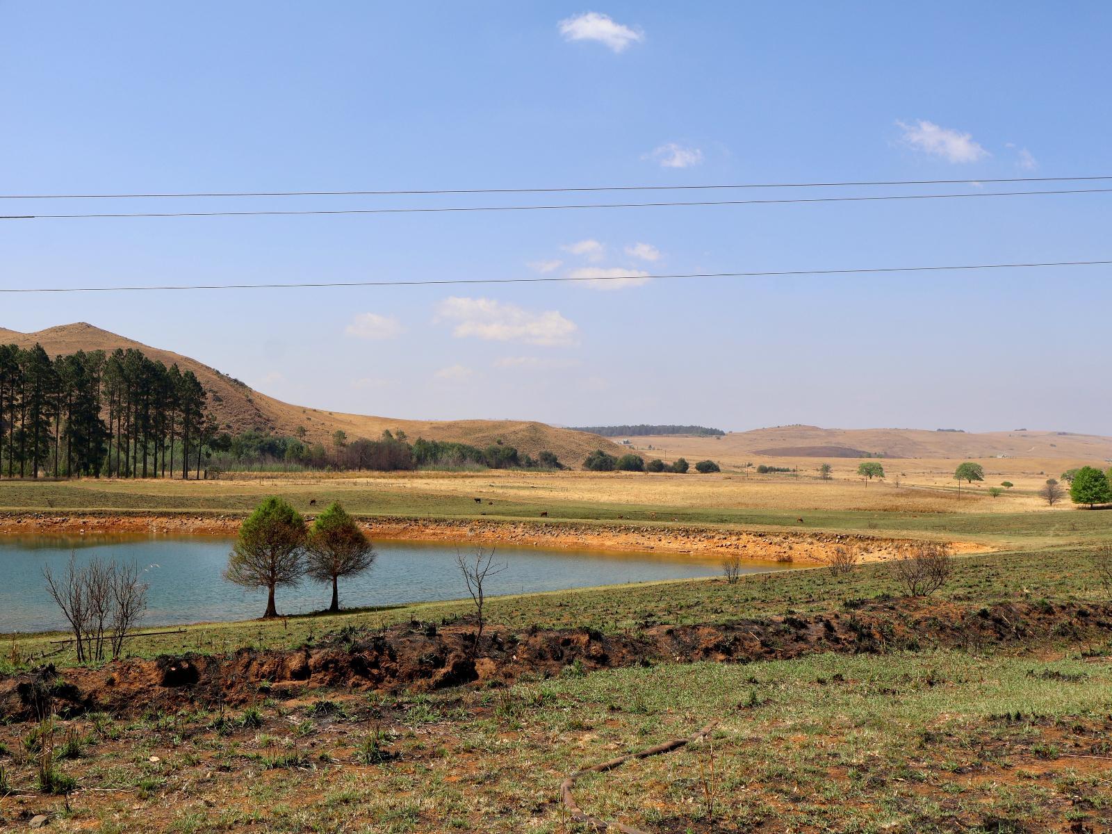 Natural landscape