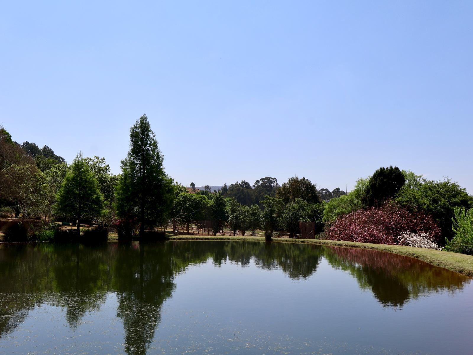 Natural landscape
