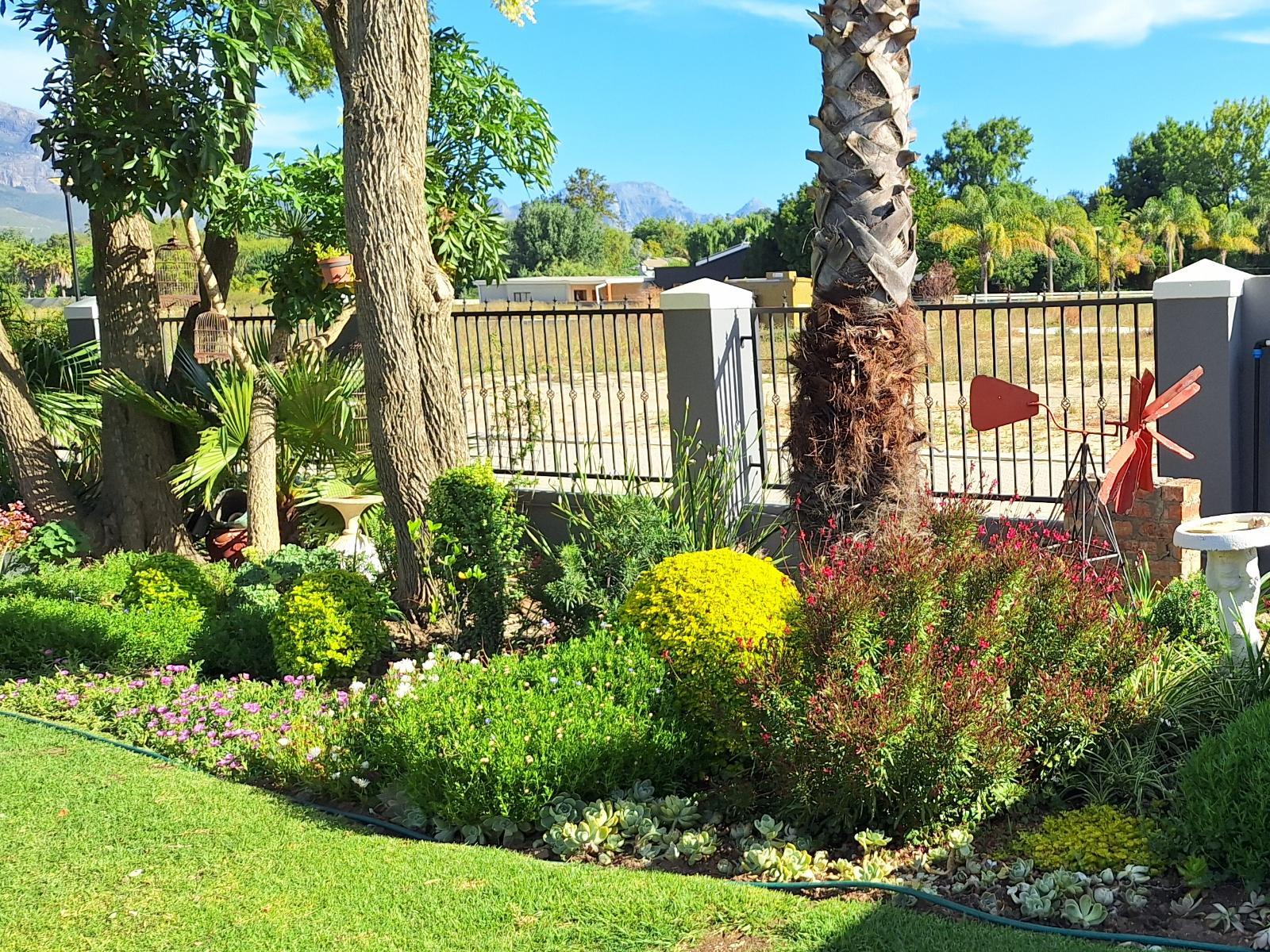 Garden view