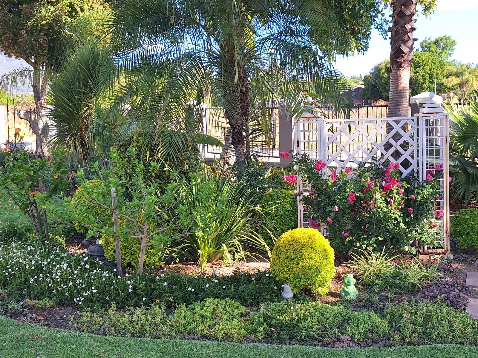 Garden view