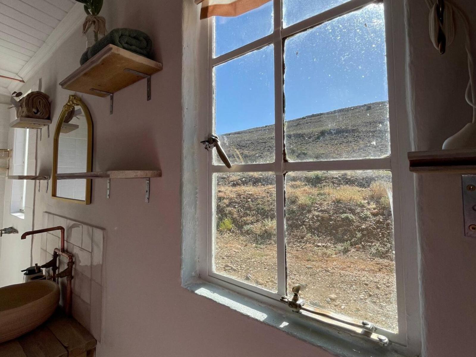 Room 5 — View (from property/room)