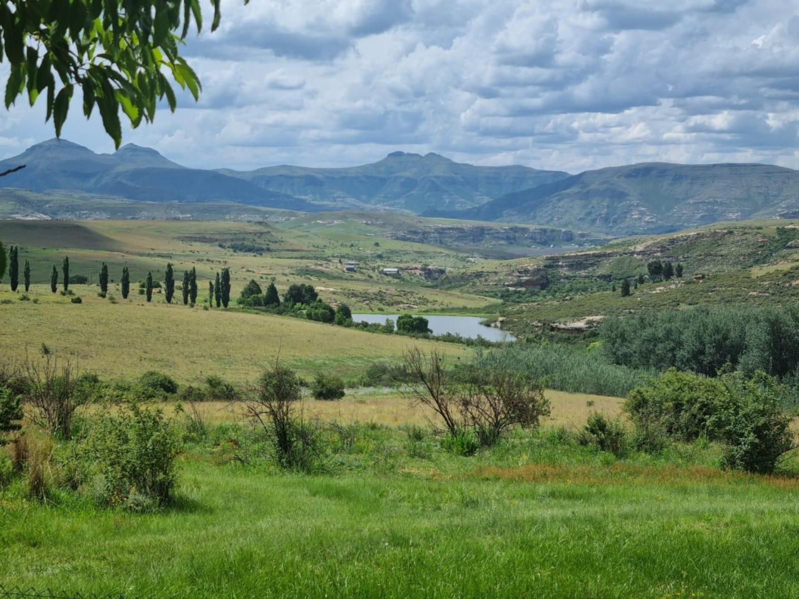 Mountain view