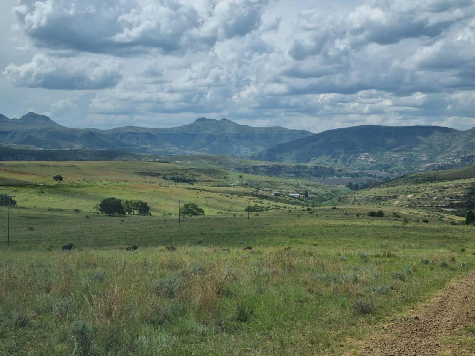 Mountain view