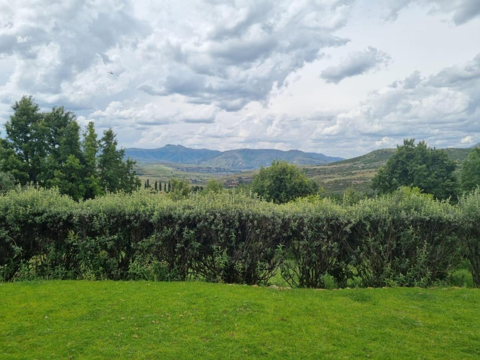 View (from property/room)