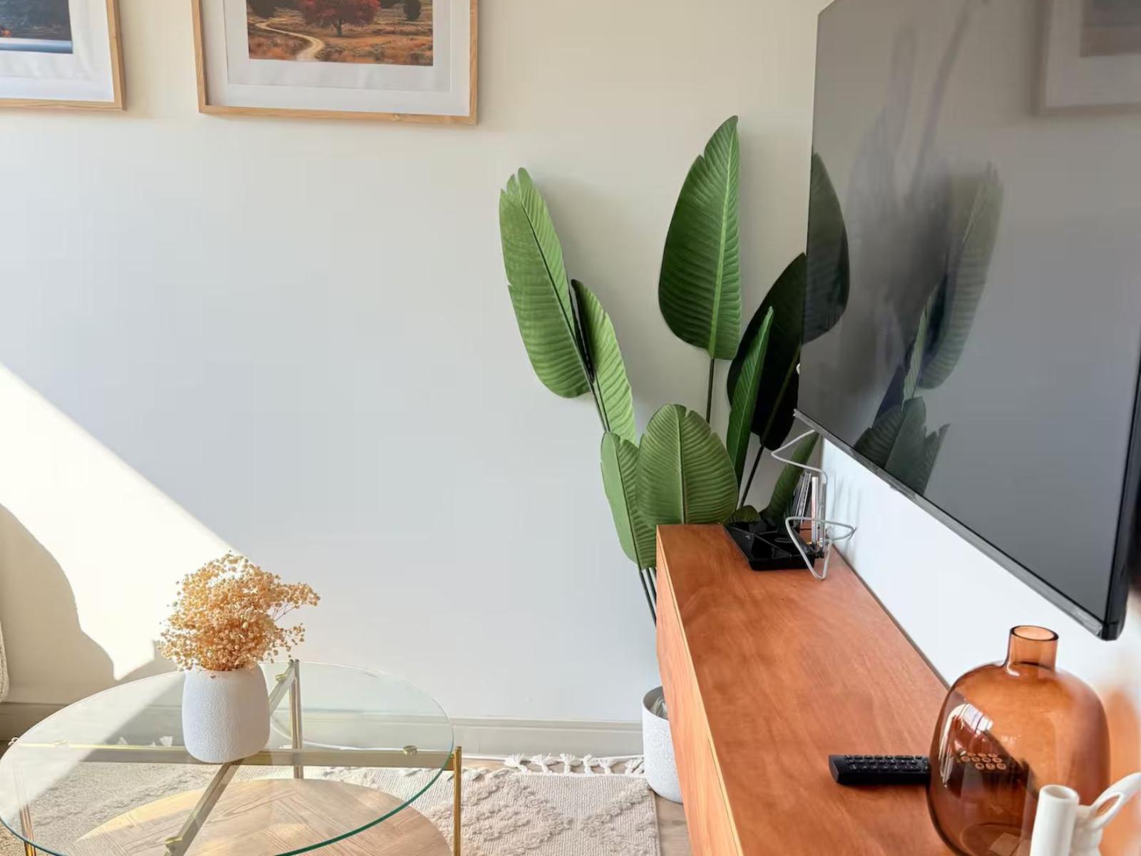 Room 1 — TV and multimedia