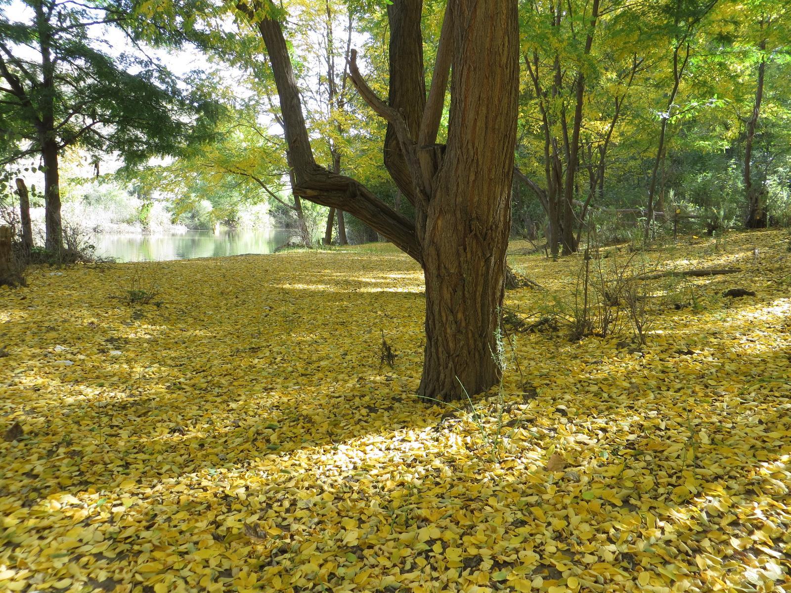 Natural landscape