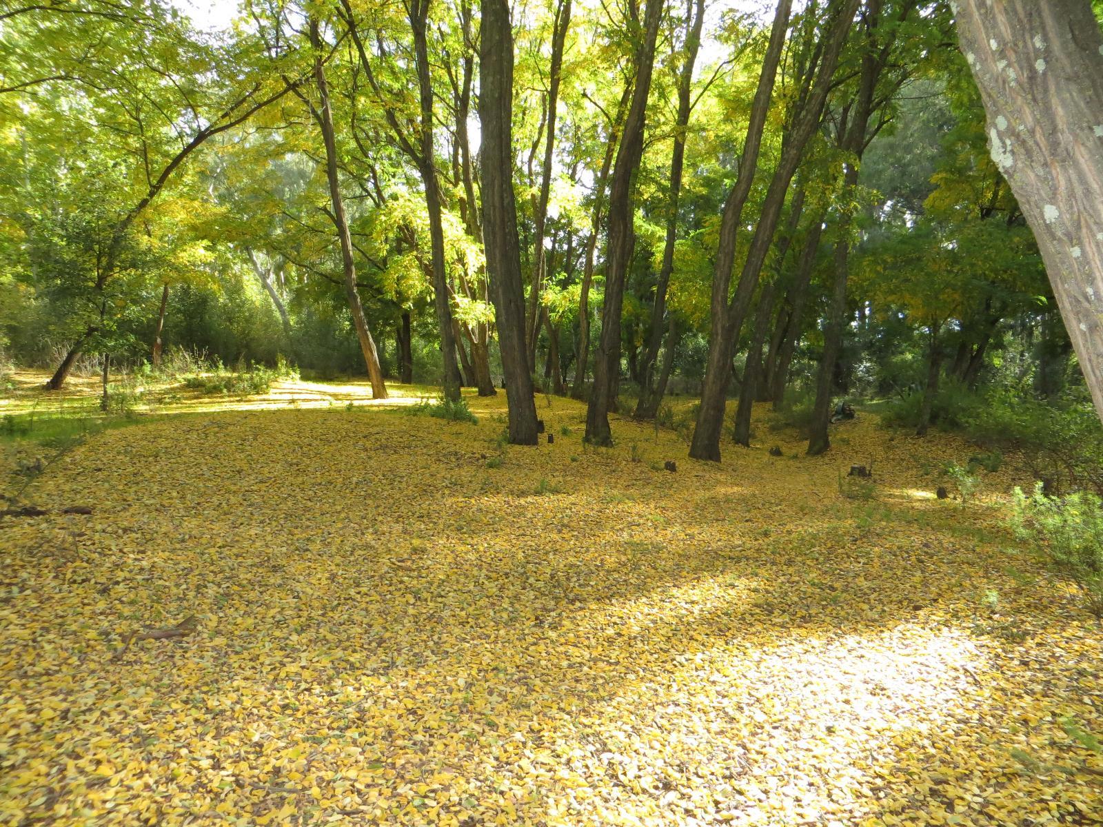 Natural landscape