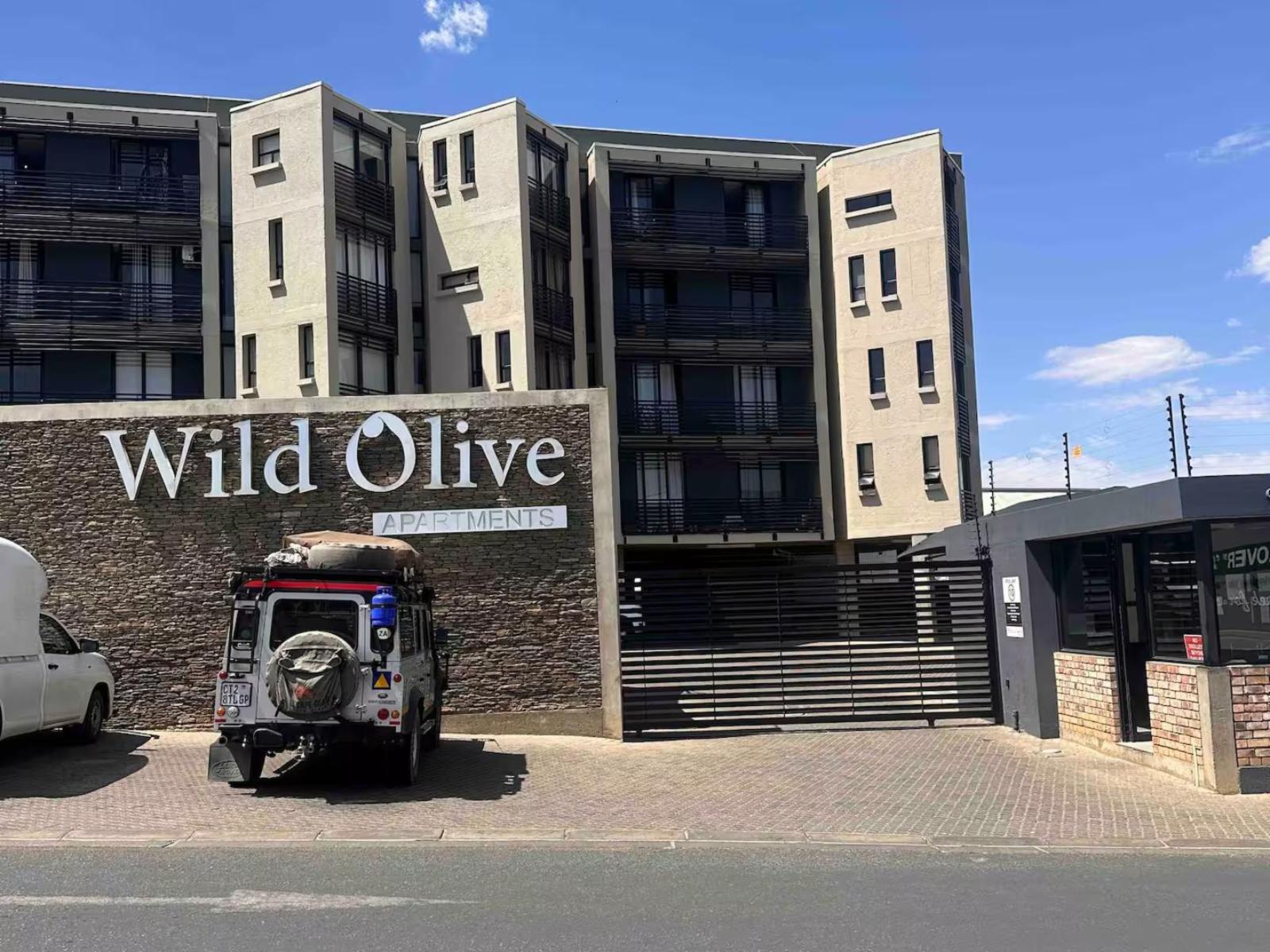 Wild Olive Collection