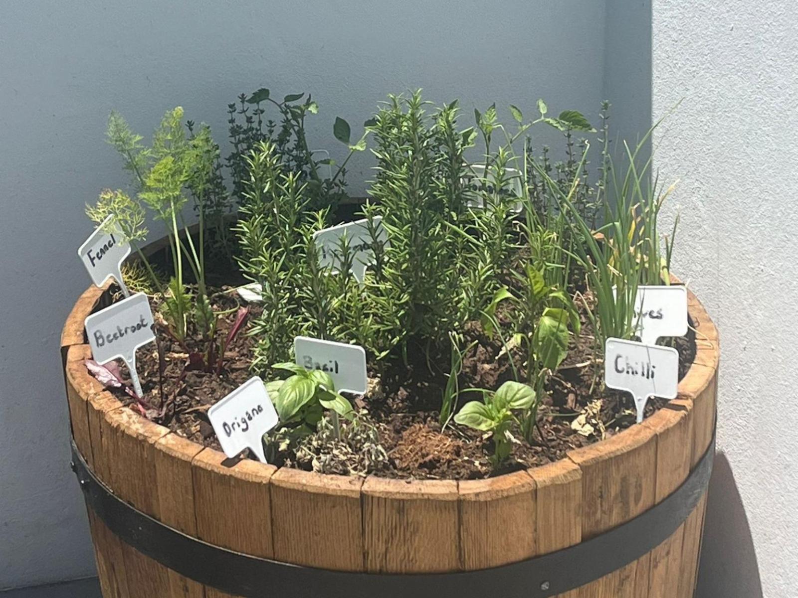 Room 1 — Garden
