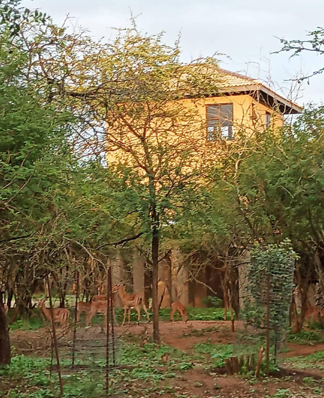 Property / Building