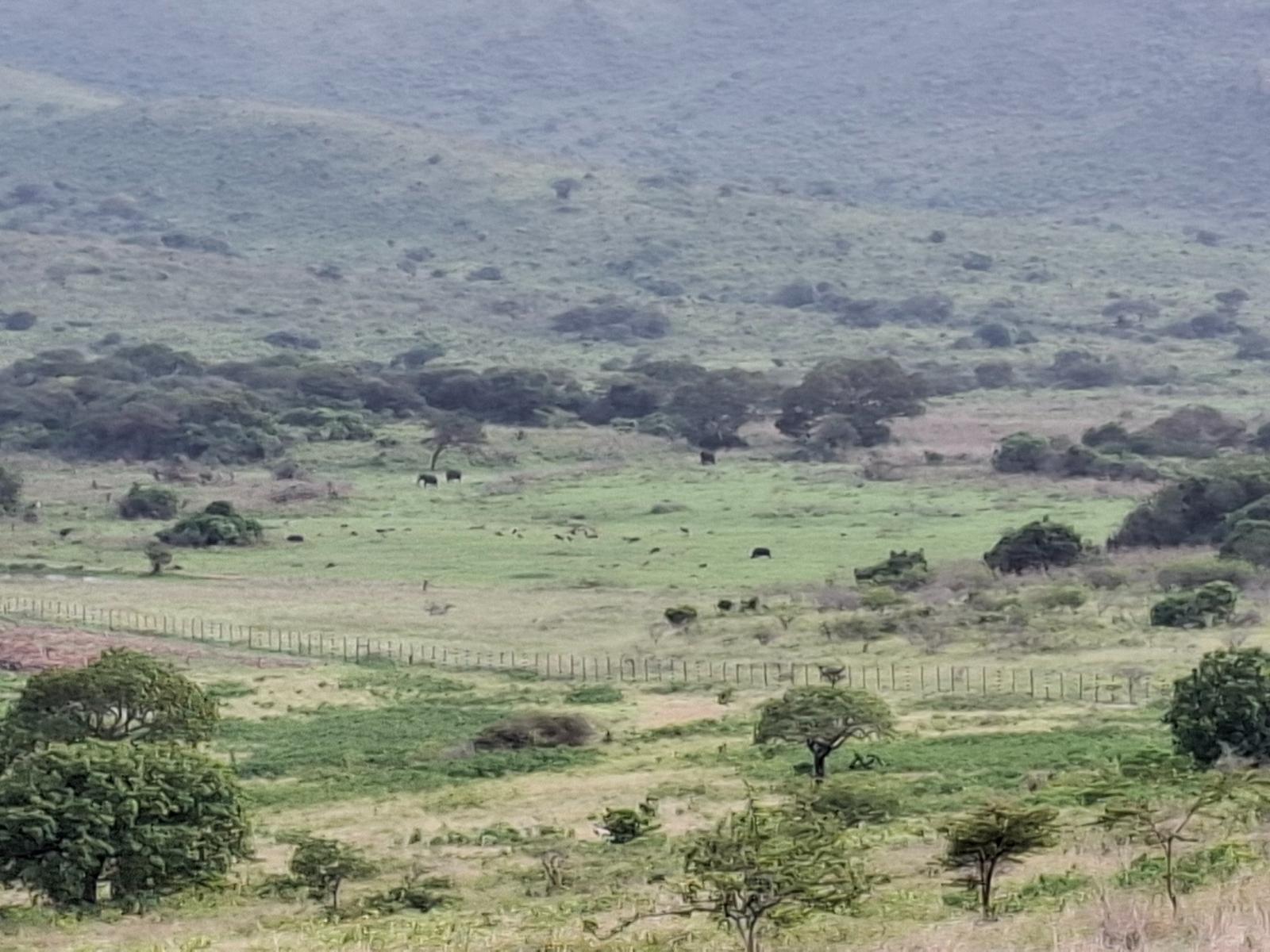 Natural landscape