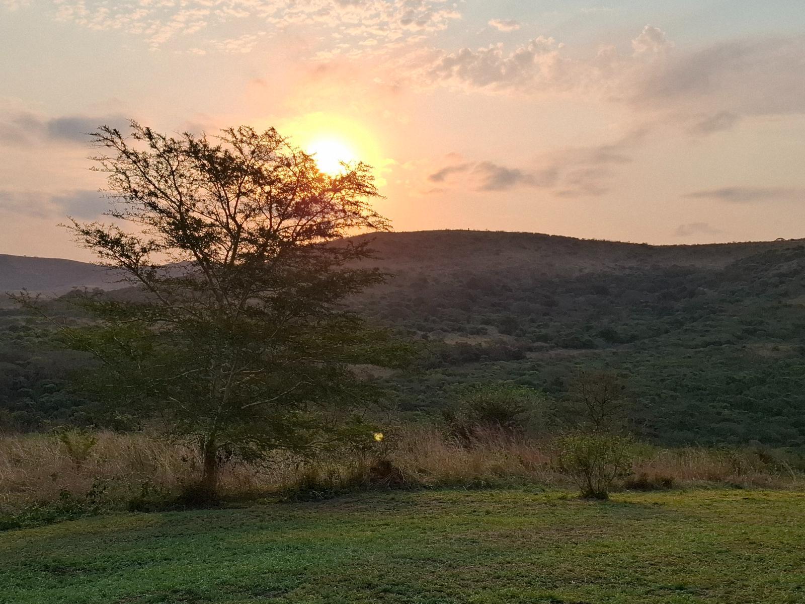 Natural landscape