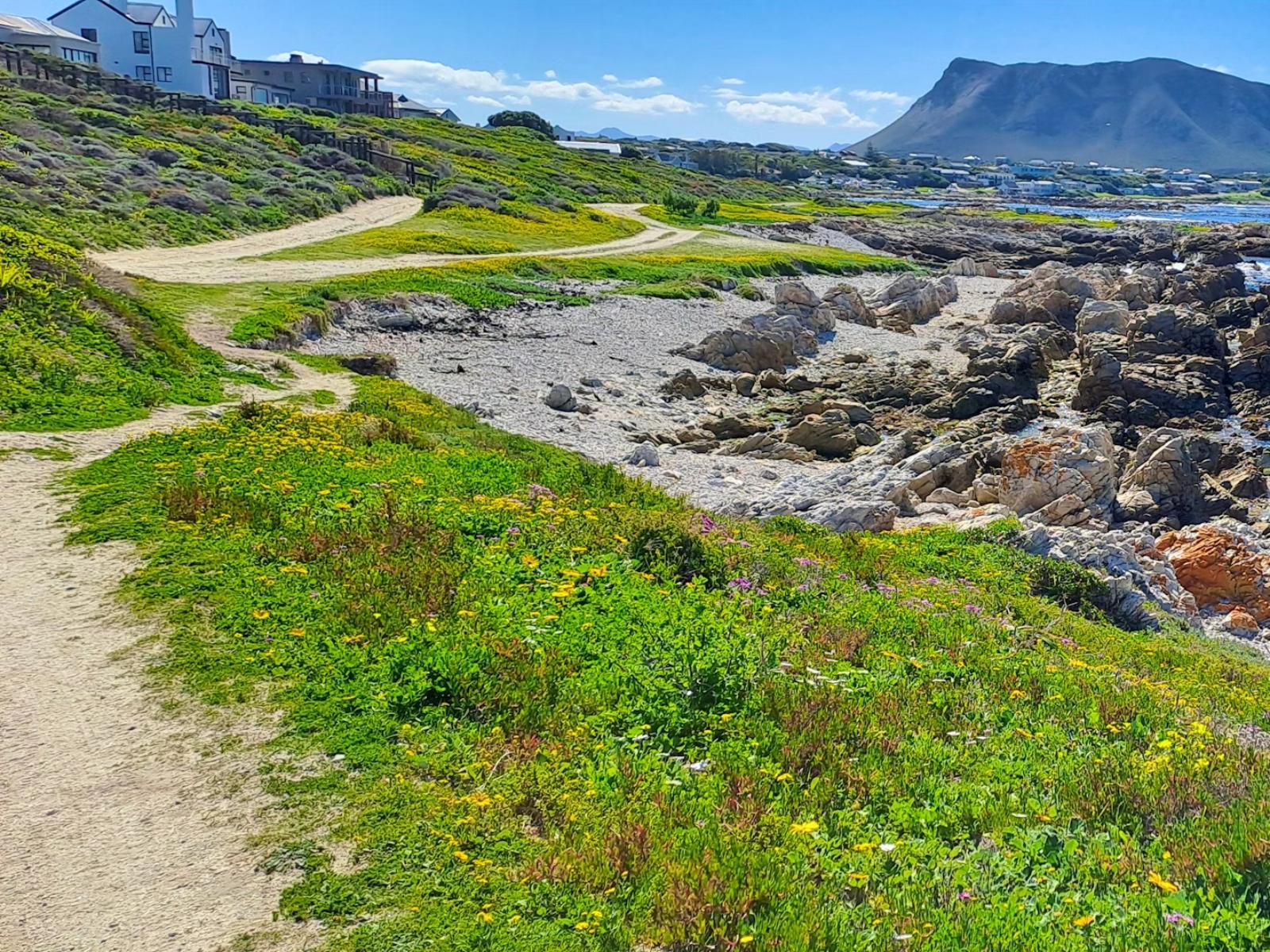 Natural landscape
