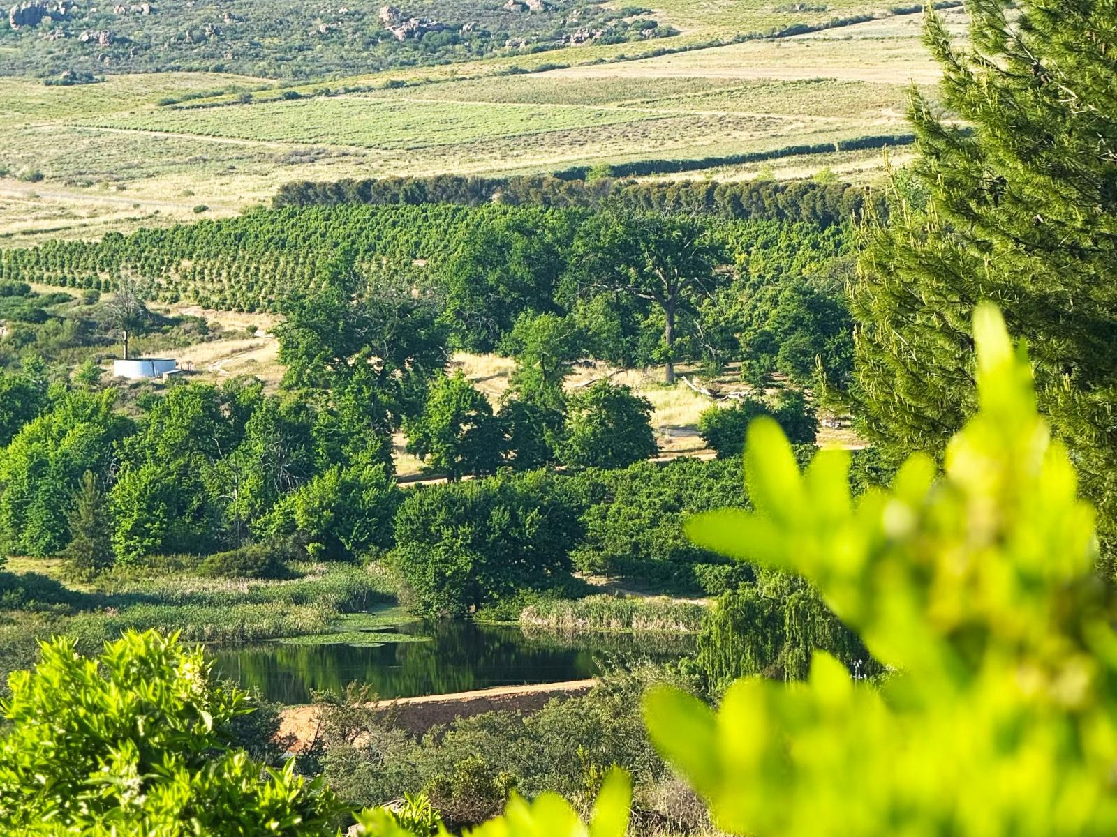 Natural landscape