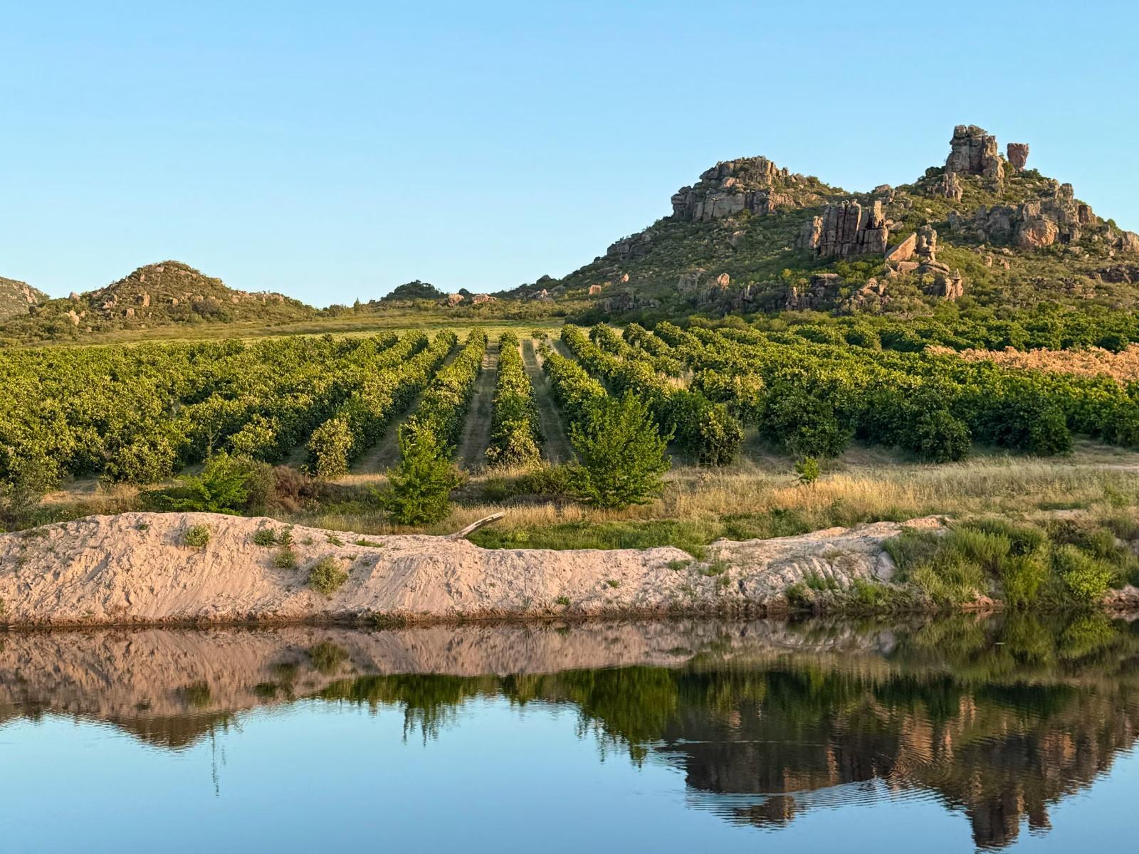 Natural landscape