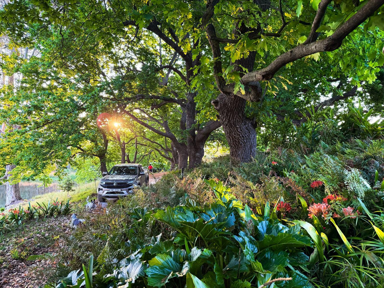 Garden