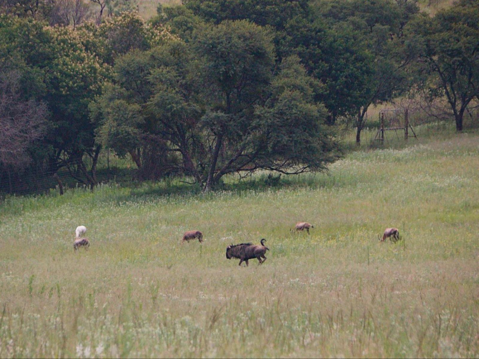 Natural landscape