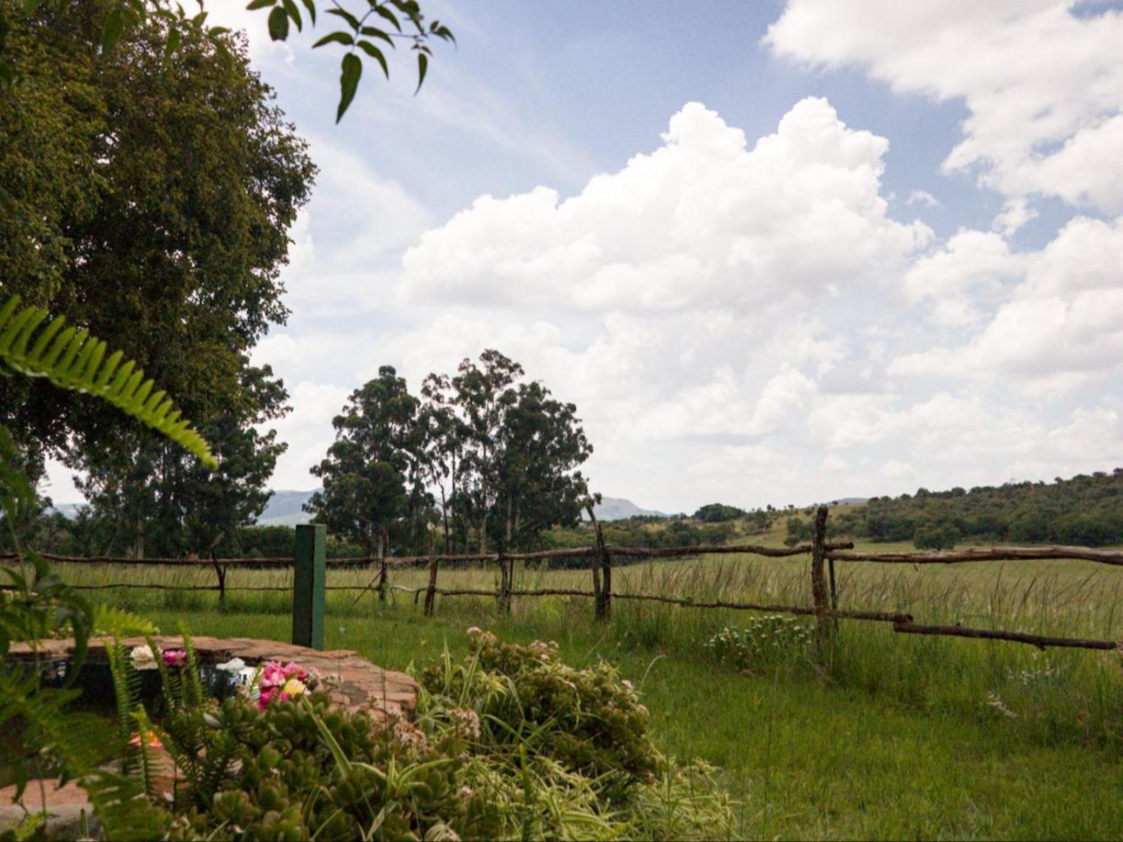Room 1 — Natural landscape