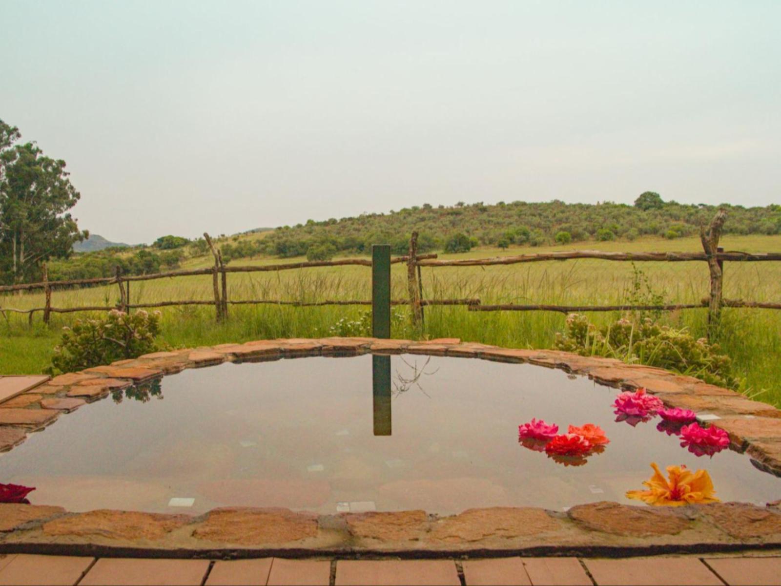 Room 1 — Pool view