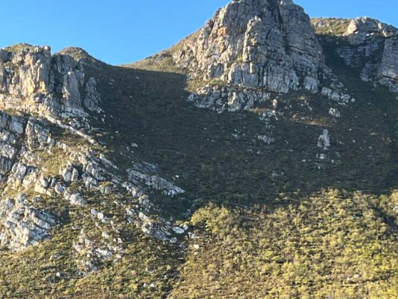 Natural landscape