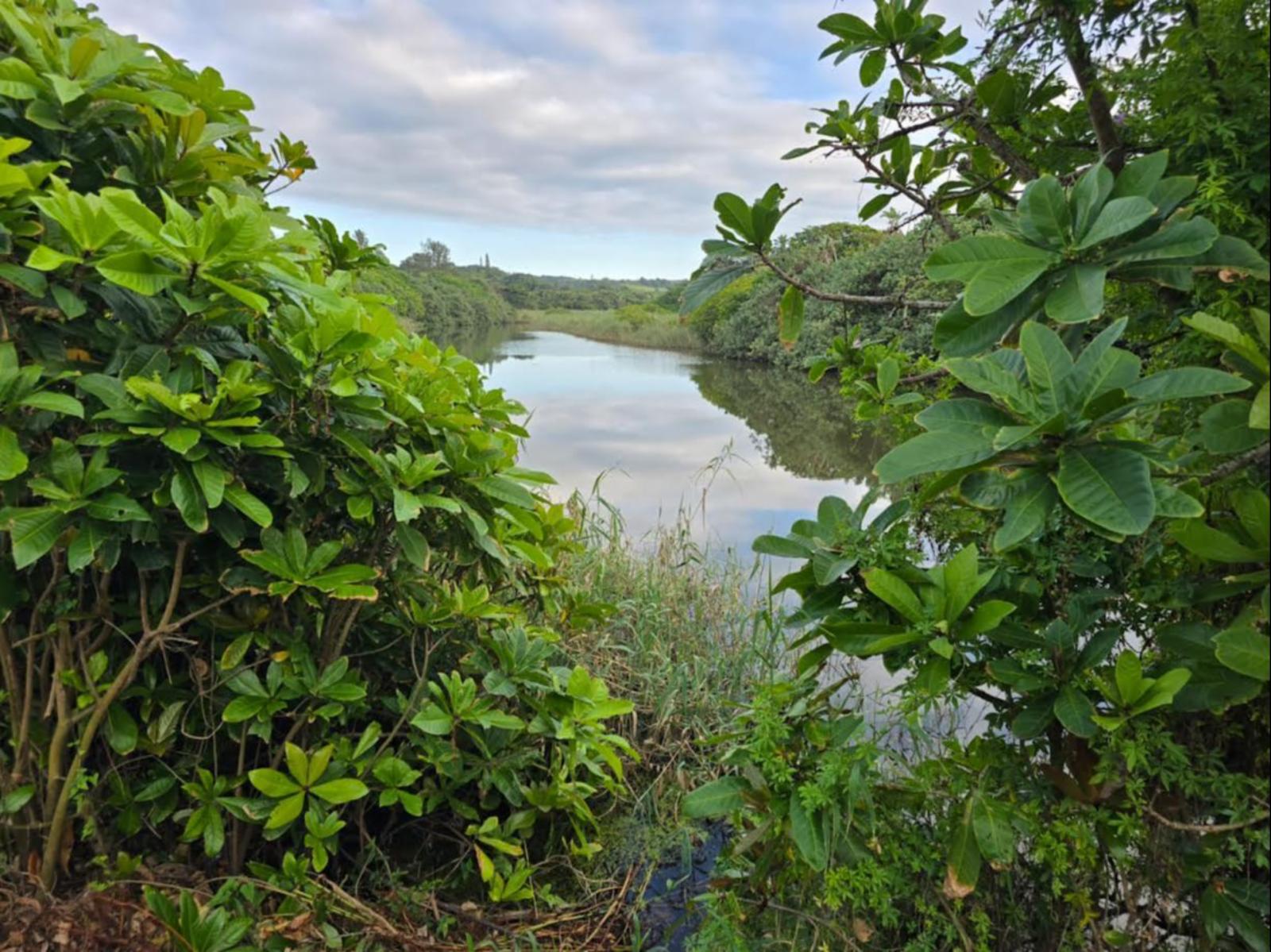 Lake view