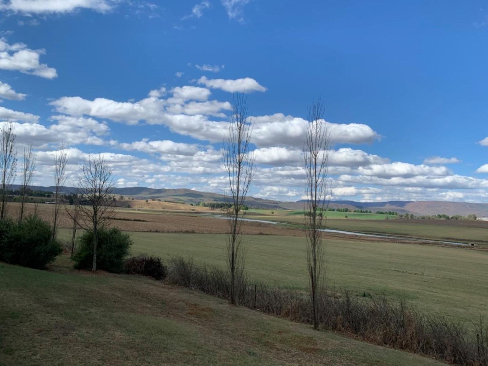 Natural landscape