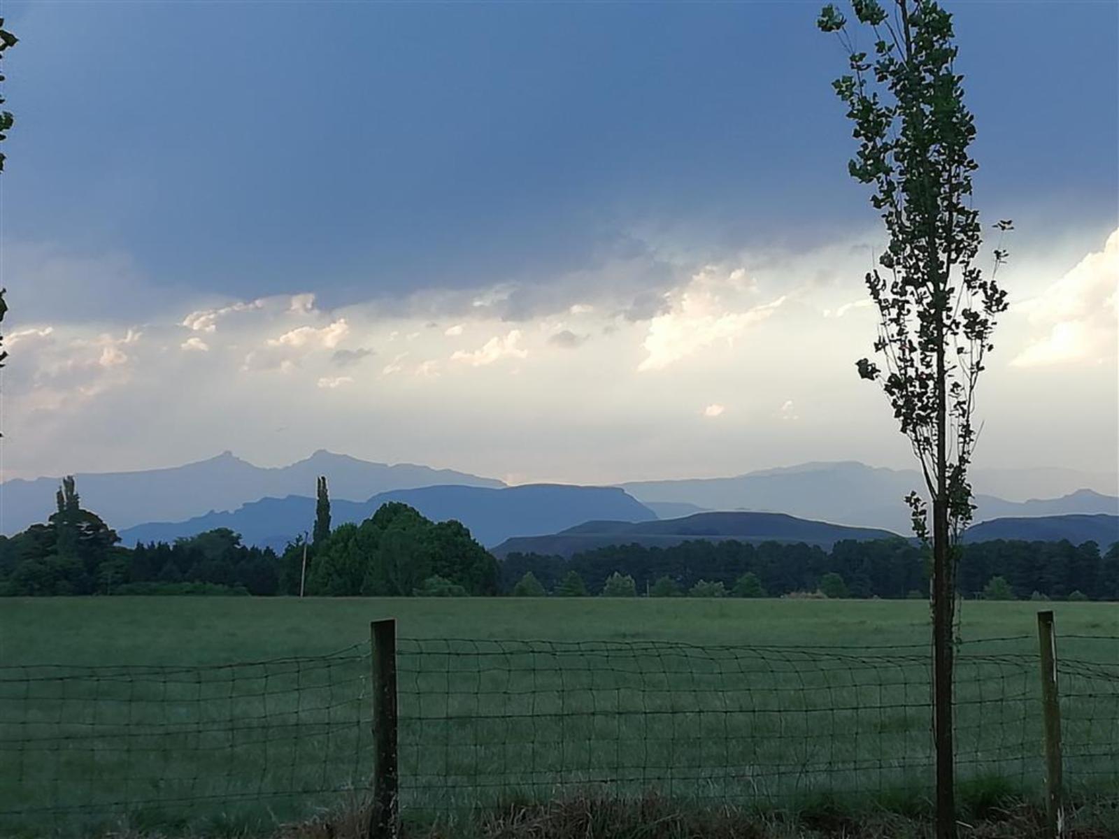 Natural landscape