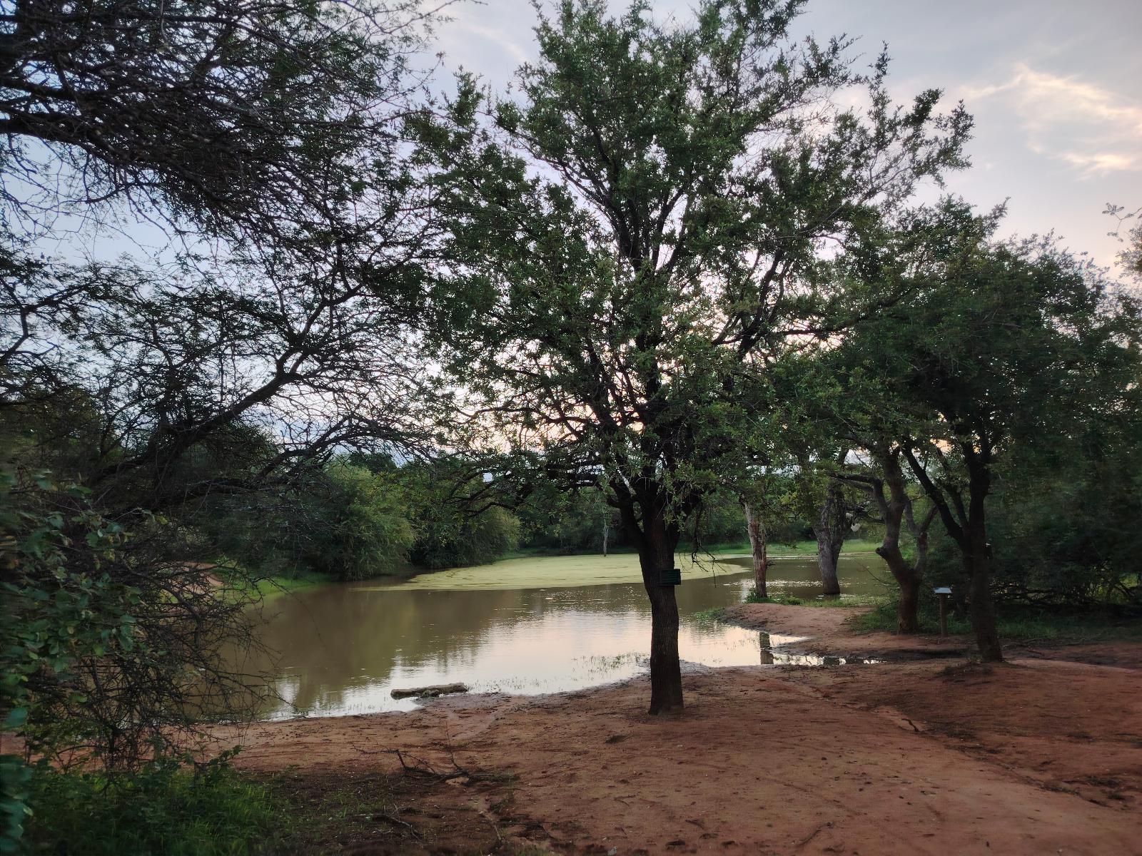 Lake view
