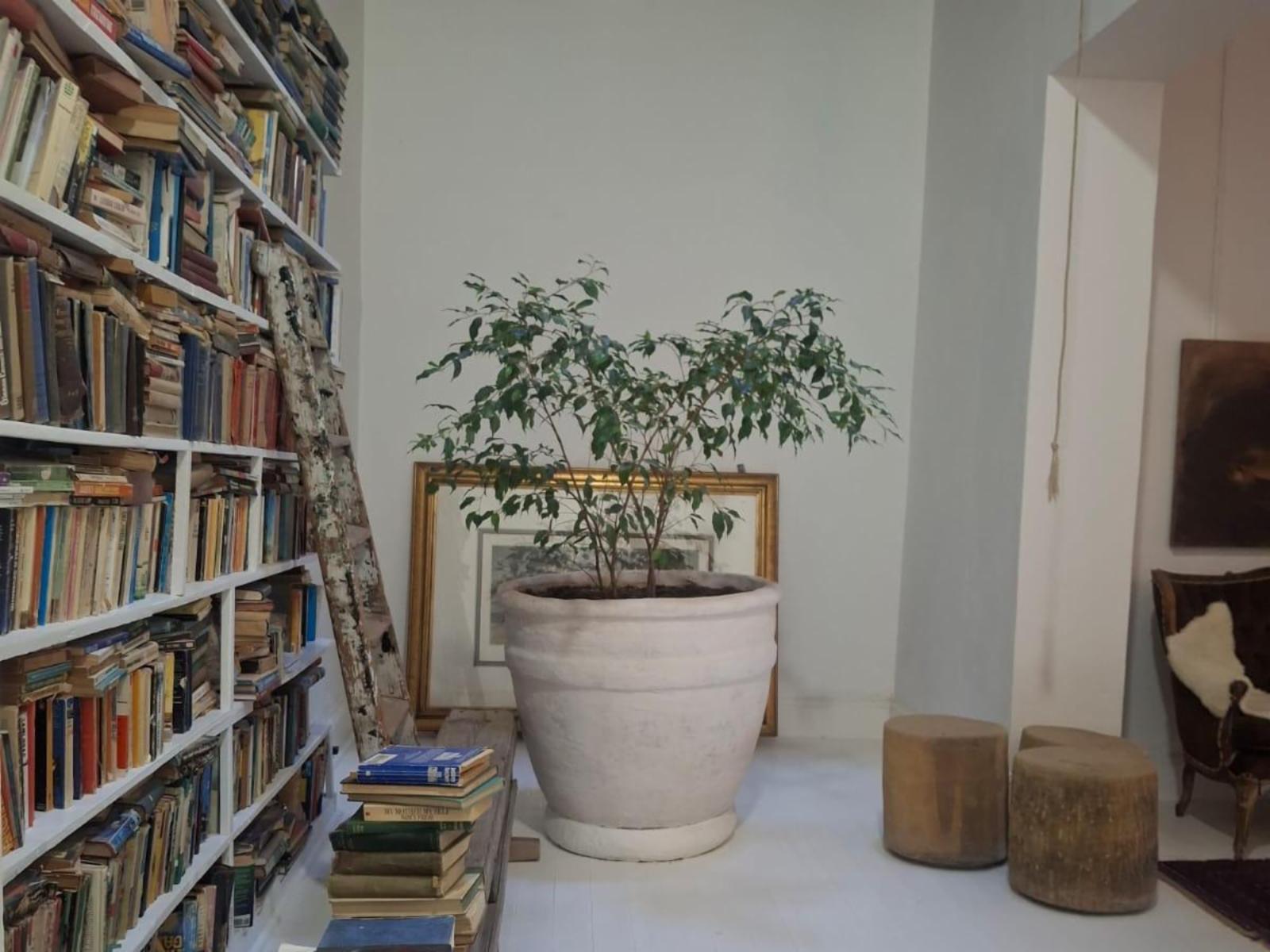 Library