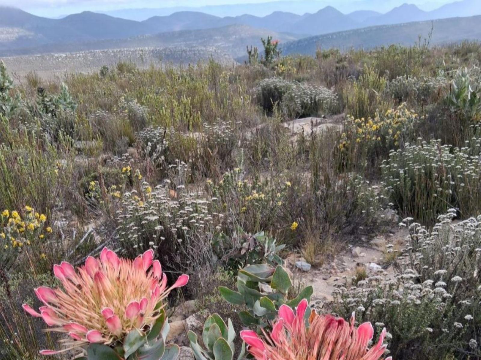 Natural landscape