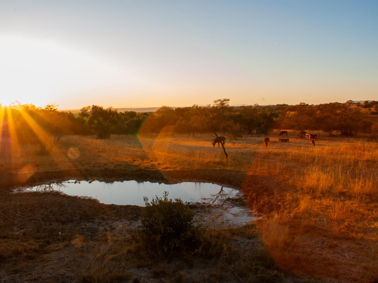 Natural landscape