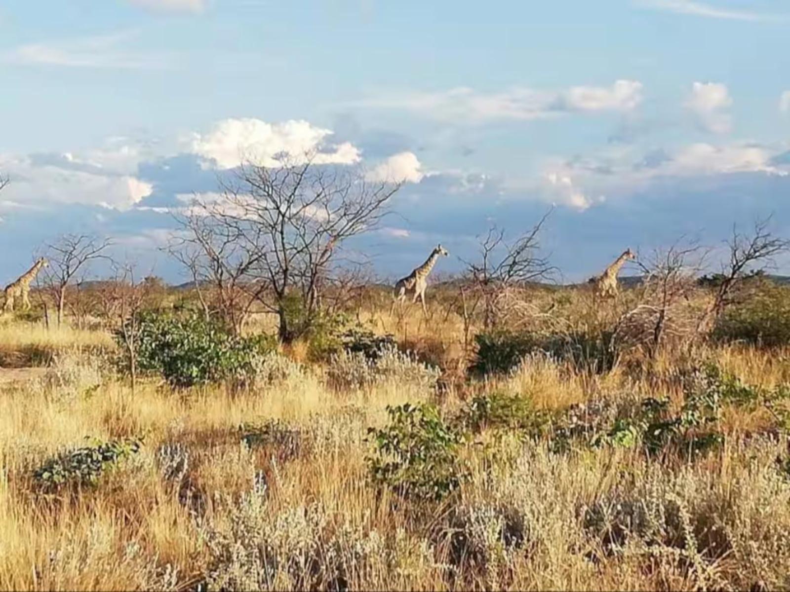 Natural landscape