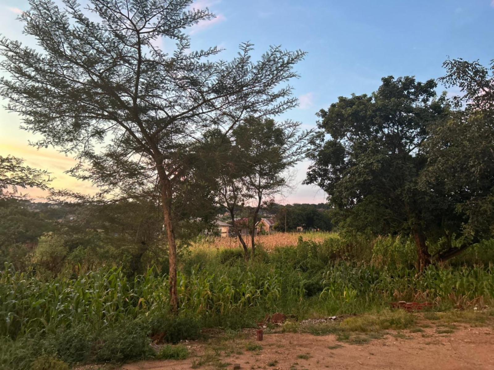 Natural landscape