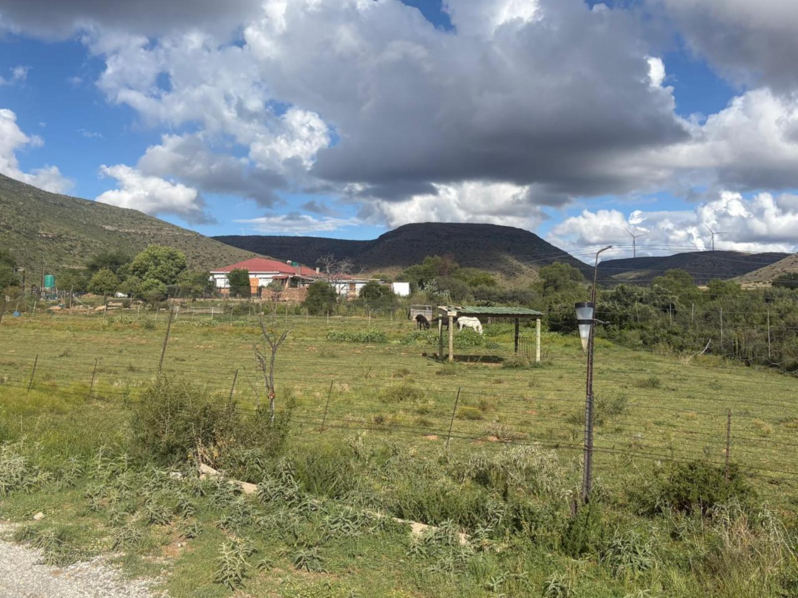 Property / Building