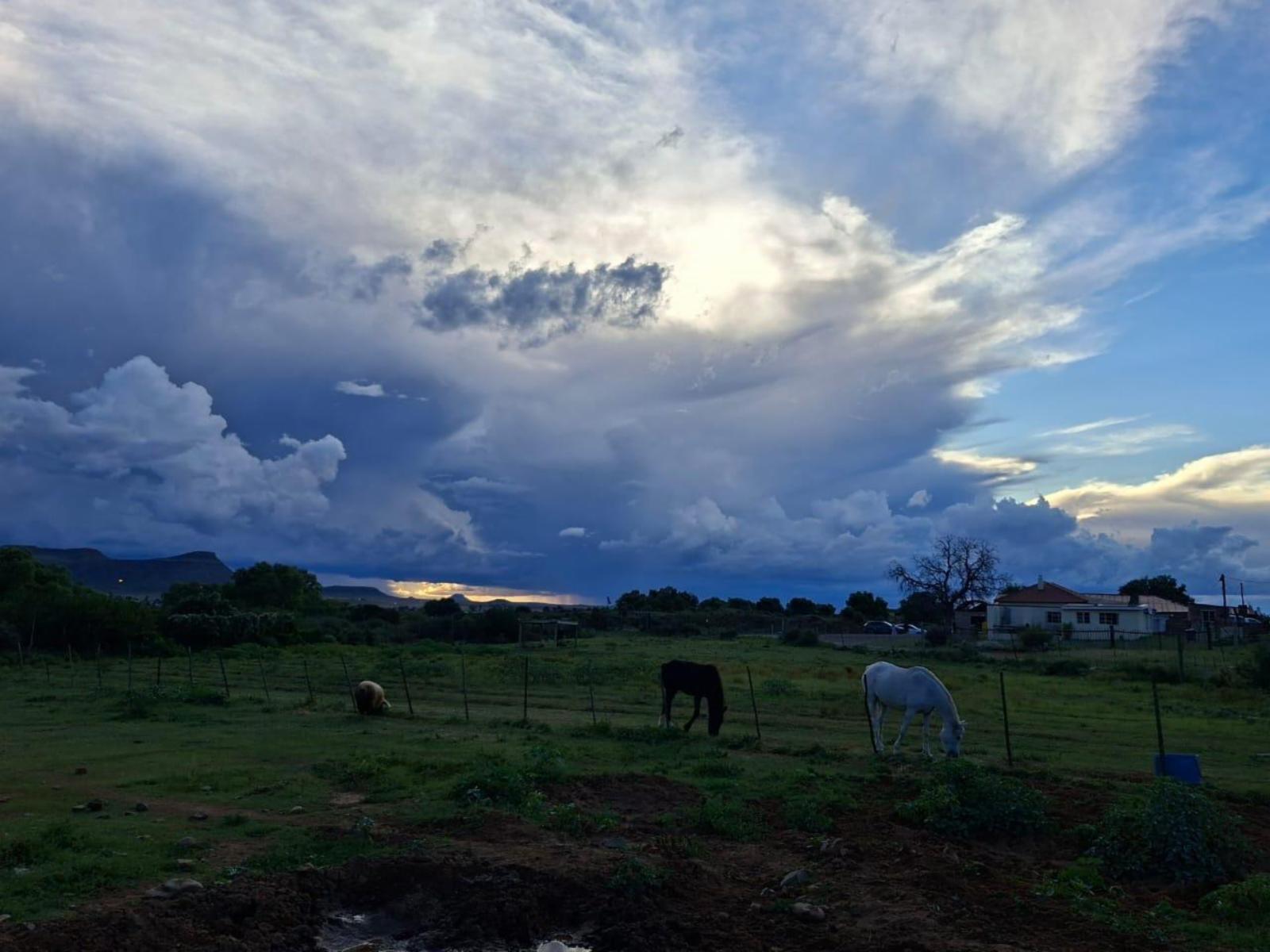 Natural landscape