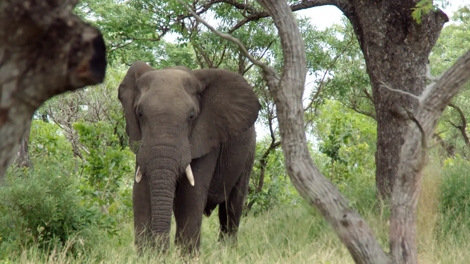 Franschhoek Country House & Villas